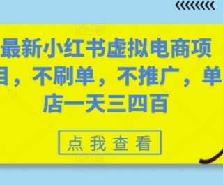 最新小红书虚拟电商项目，不刷单