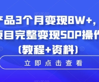 虚拟产品3个月变现8W+，小学教辅