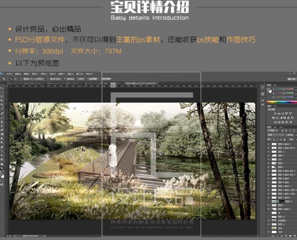 ps效果图 psd分层源文件 生态湿地公园 景观园林素材