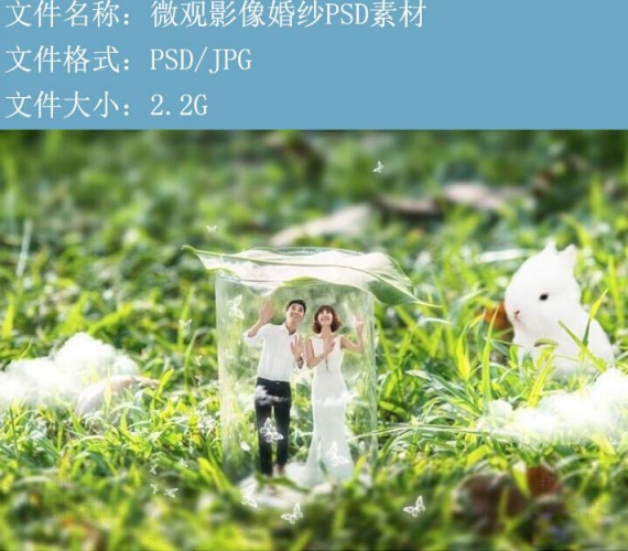 S37微观影像婚纱PSD素材创意婚纱照PSD设计模板微观背景设计素材