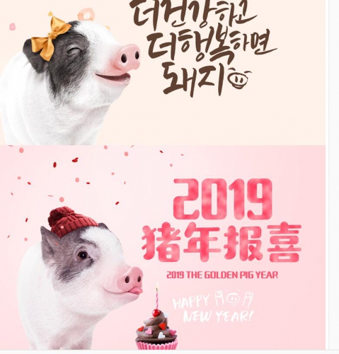 可爱创意金猪年卡通新年2019年宣传活动海报模板PSD文字设计素材