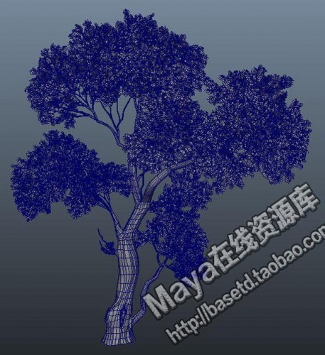 maya 模型 素材 植物模型 树木 带材质贴图