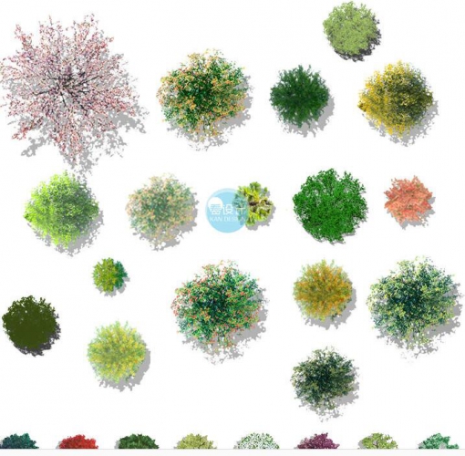 国外园林景观设计PSD彩平图分层贴图 PS彩色平面图植物图例素材