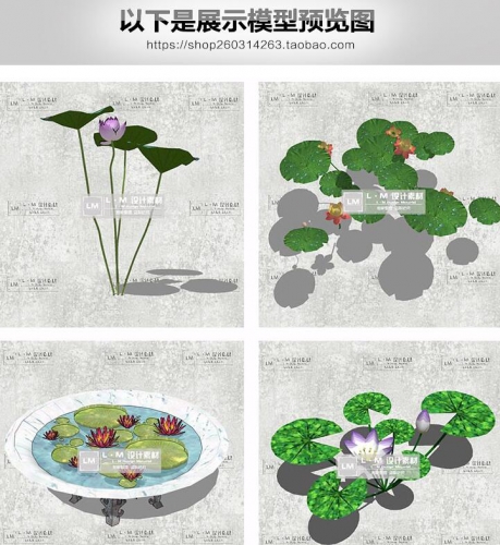 SU模型景观设计荷塘荷花池莲花荷叶植物园林水景小品草图大师素材