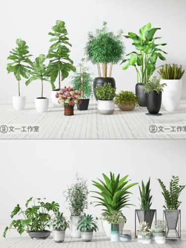 绿植室内盆栽3d模型植物摆件别墅庭院花园民宿花卉盆景花店3DMAX