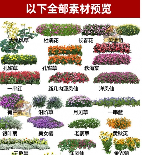 花卉绿篱地被花开植物盆栽花圃花朵园林景观设计PSD分层源文件PS