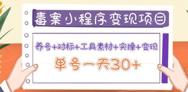 森罗万项毒案小程序变现项目：养号+对标+工具素材+实操+变现，单号一天30+