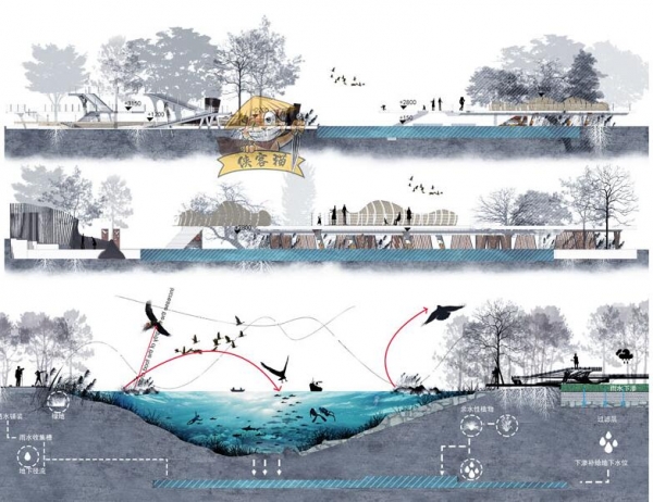 竞赛风蓝灰调滨水湿地城市公园广场剖面图立面图PSD源文件素材