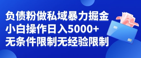 负债粉私域暴力掘金，小白操作入5000