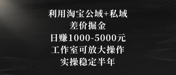 工作室可放大操作项目，利用淘宝公域+私域差价掘金，日赚1000-5000元，已实操稳定半年