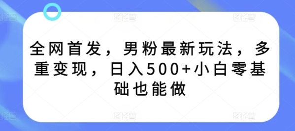 2024年抖音快手最新项目拆解视频引流创业粉，一天轻松引流精准创业粉100+