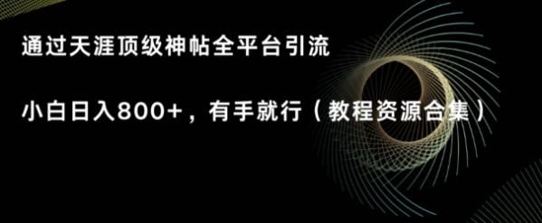 天涯顶级神帖项目，全平台引流小白日入800+，有手就行(内含教程资源合集)