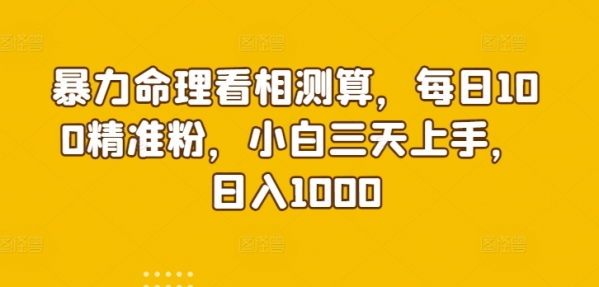 暴力命理看相测算，每日100精准粉，小白三天上手，日入1000