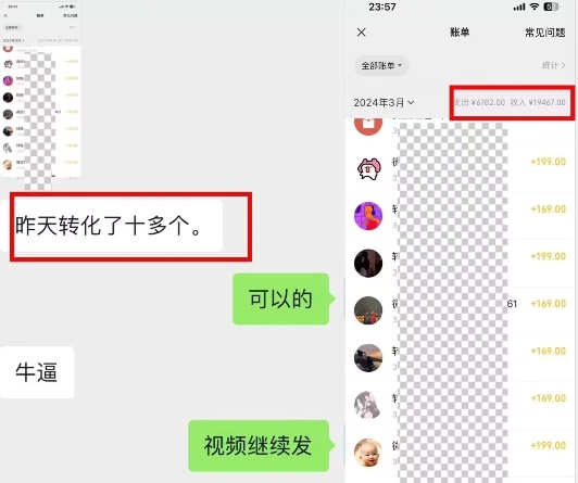 抖音最新引流创业粉+变现保姆式教程 直接无脑套模板即可