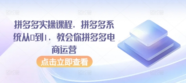 拼多多实操课程，拼多多系统从0到1，教会你拼多多开店电商运营