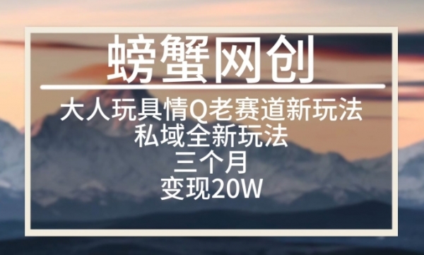 大人玩具情Q用品赛道私域全新玩法，三个月变现20W，老项目新思路【揭秘】