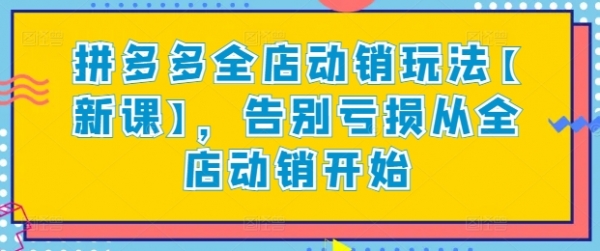 拼多多全店动销玩法【新课】，告别亏损从全店动销开始