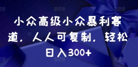 小众暴利赛道，人人可复制，轻松日入300+