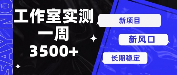 新项目新风口，单号操作7天收益3500+