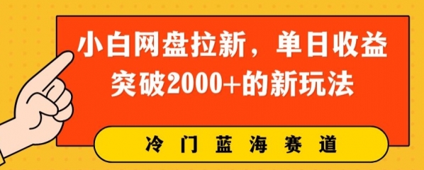 小白网盘拉新，单日收益突破2000+的新玩法