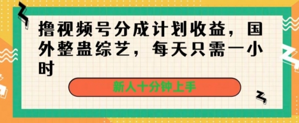 撸视频号分成计划收益，国外整蛊综艺，每天只需一小时，新人十分钟上手