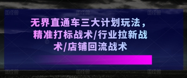 无界直通车三大计划玩法，精准打标战术/行业拉新战术/店铺回流战术