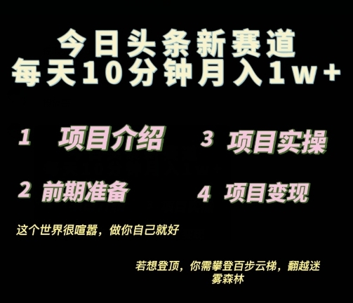 2024最新今日头条小赛道，0投入易上手