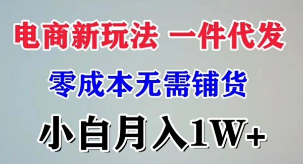 电商新玩法 一件代发,零成本无需铺货，小白月入1W+