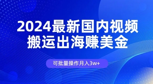 2024最新国内视频搬运出海赚美金，可批量操作月入3w