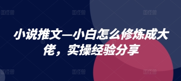 小说推文—小白怎么修炼成大佬，实操经验分享