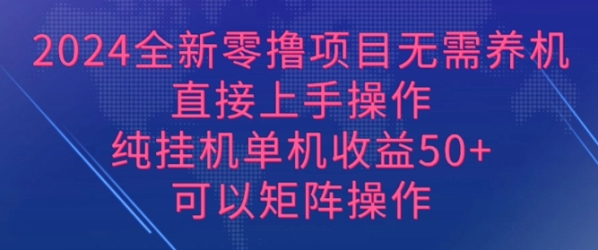 2024全新零撸项目，无需养机，直接上手操作 纯挂JI，单机收益50+，可以矩阵操作