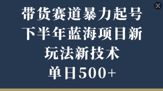 带货赛道暴力起号，下半年蓝海项目，新玩法新技术，单日500+