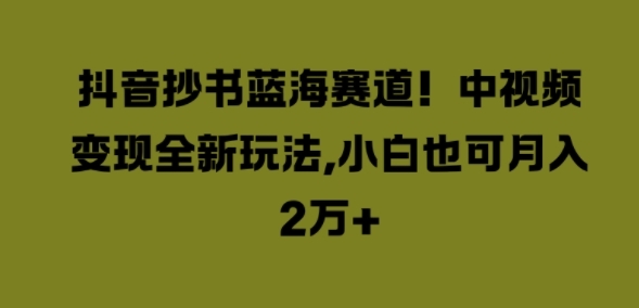 抖音抄书蓝海赛道，中视频变现全新玩法，小白也可月入2W+