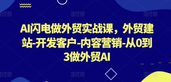 AI闪电做外贸实战课，&#8203;外贸建站-开发客户-内容营销-从0到3做外贸AI（更新）