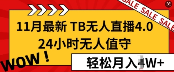 【11月最新TB-无人直播4.0】，24小时无人值守，打造日不落直播间，轻松月入过W ...