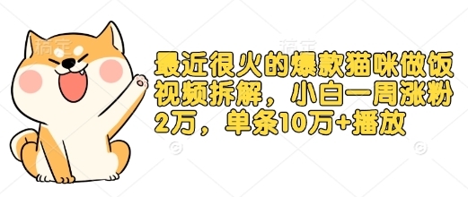 最近很火的爆款猫咪做饭视频拆解，小白一周涨粉2万，单条10万+播放(附保姆级教程) ... ...